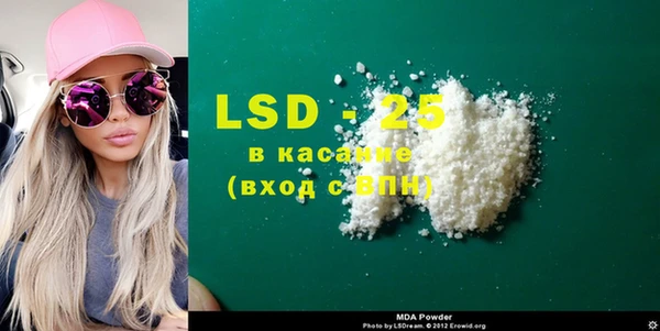 PSILOCYBIN Алагир