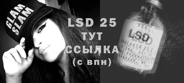 PSILOCYBIN Алагир