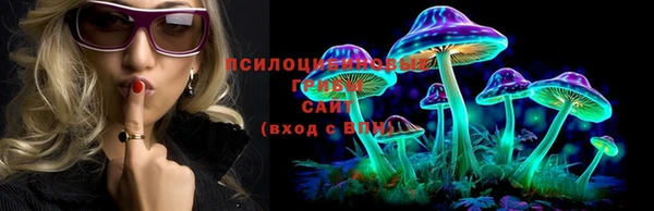 PSILOCYBIN Алагир
