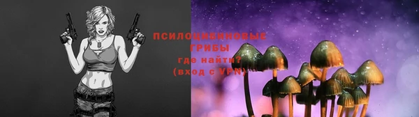 мет Надым