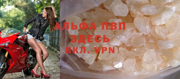 прущие грибы Михайлов