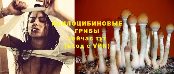 COCAINE Михайловск
