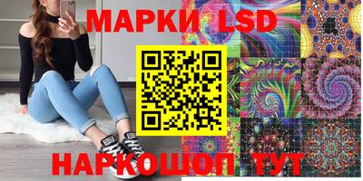 стафф Гусев
