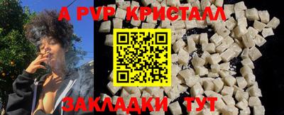 стафф Гусев