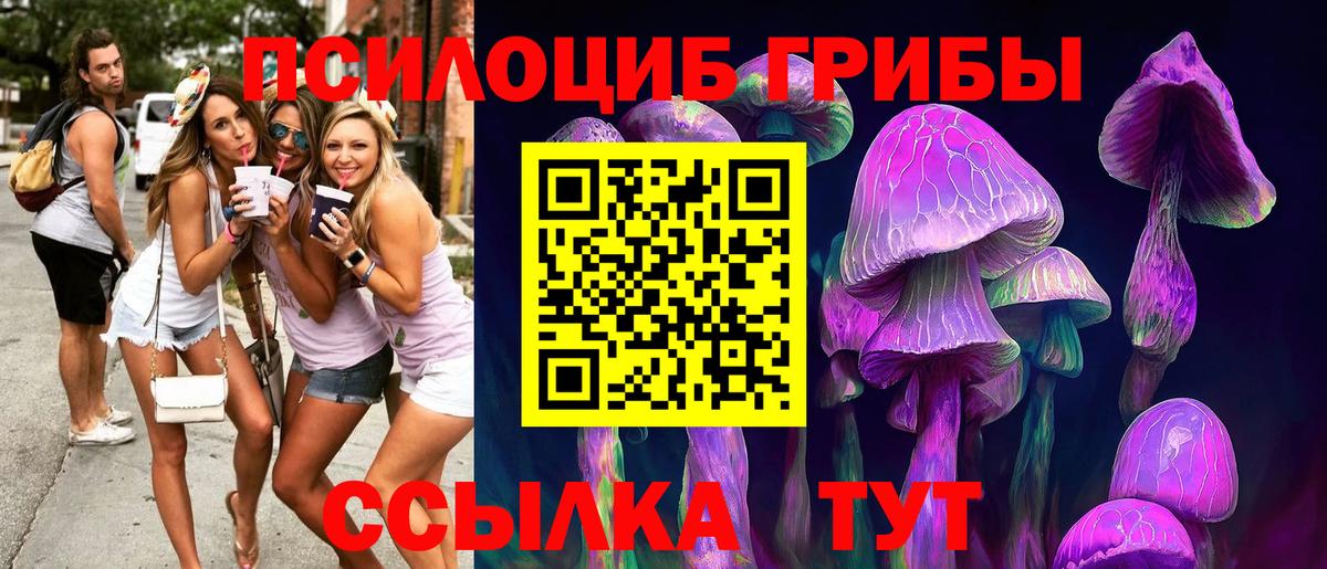 Галлюциногенные грибы ЛСД  даркнет сайт  Вход с VPN  Сорочинск  Галлюциногенные грибы Psilocybe 