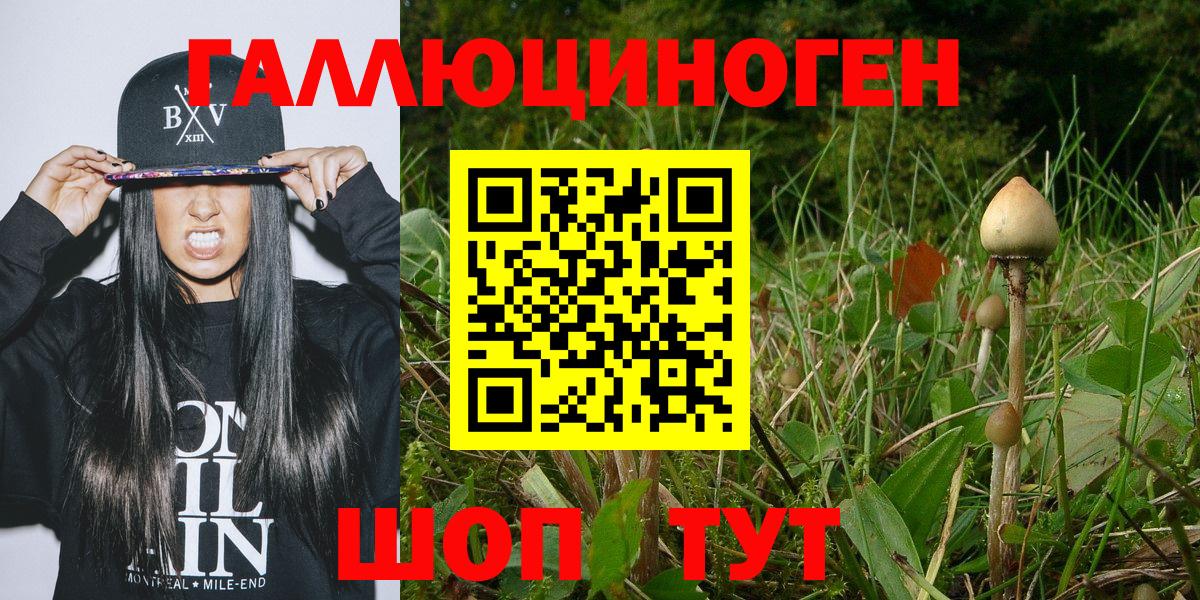 Галлюциногенные грибы Cubensis Сорочинск